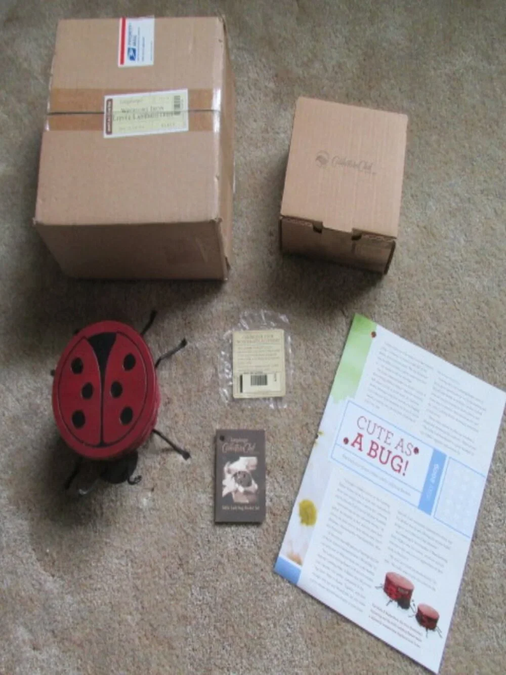Longaberger 2009 Little Lady Bug Collectors Club Basket set plus extras